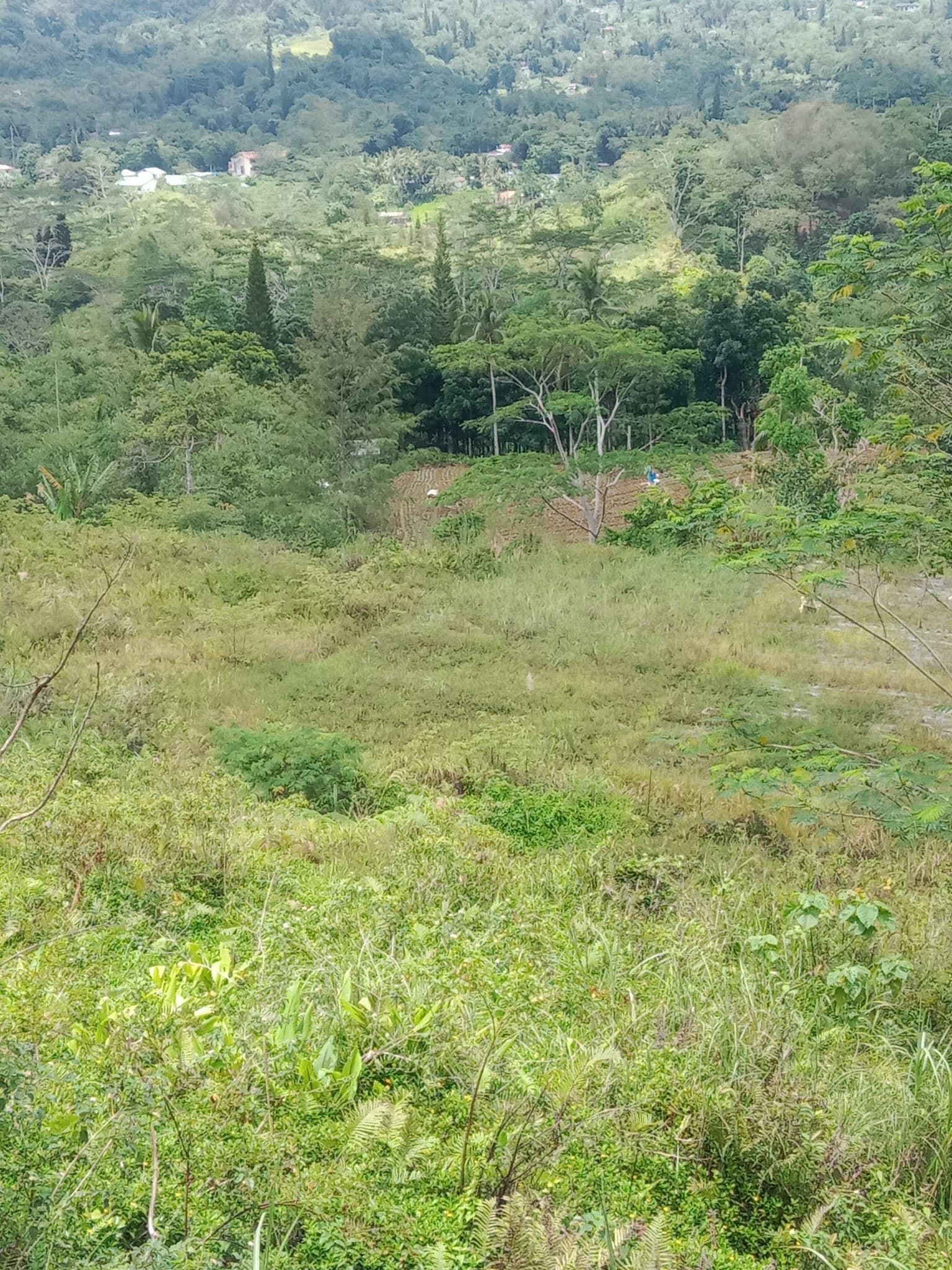 Agricultural Lot for Sale!