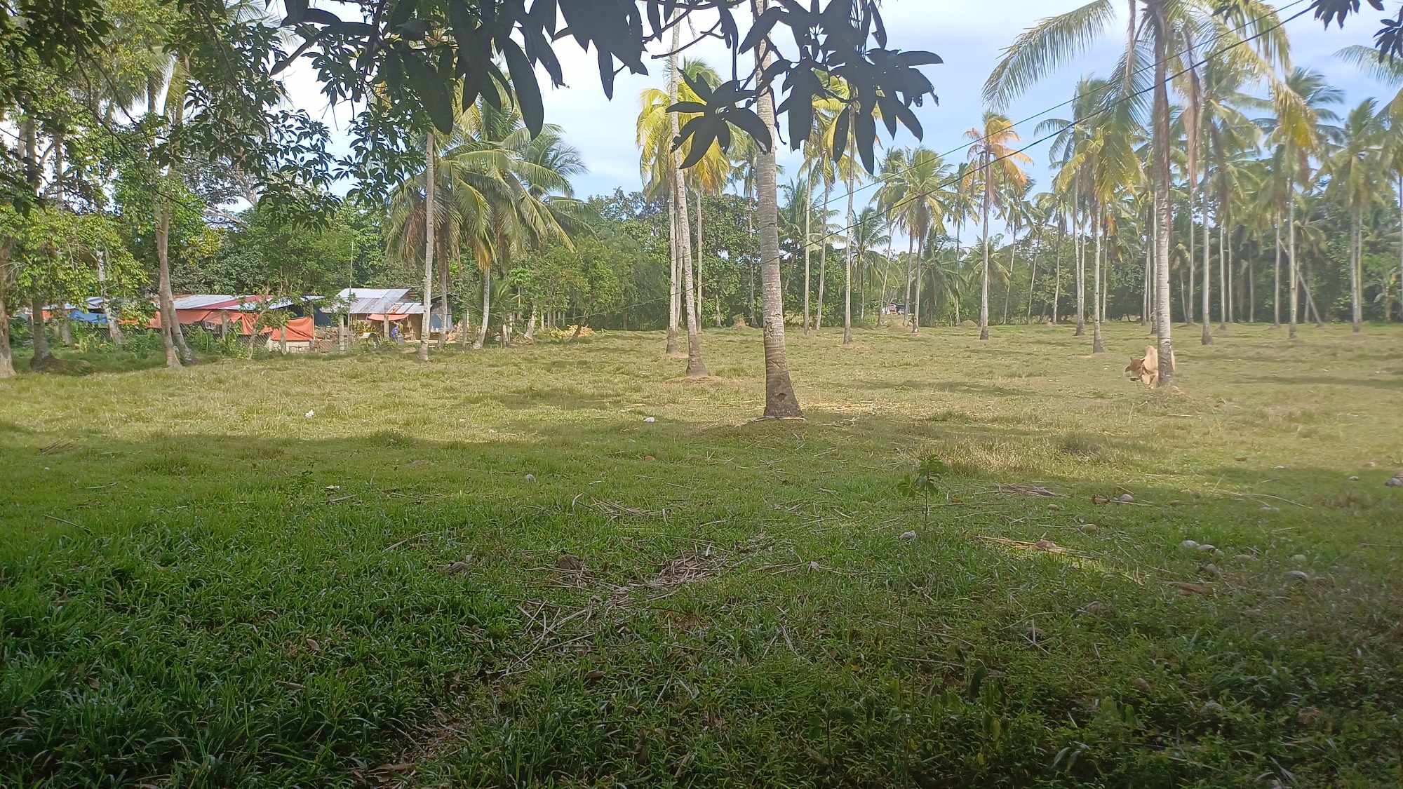 Lot for Rent